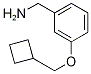 CAS 1061650-69-8 molecular structure