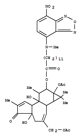 CAS 137034-69-6 molecular structure